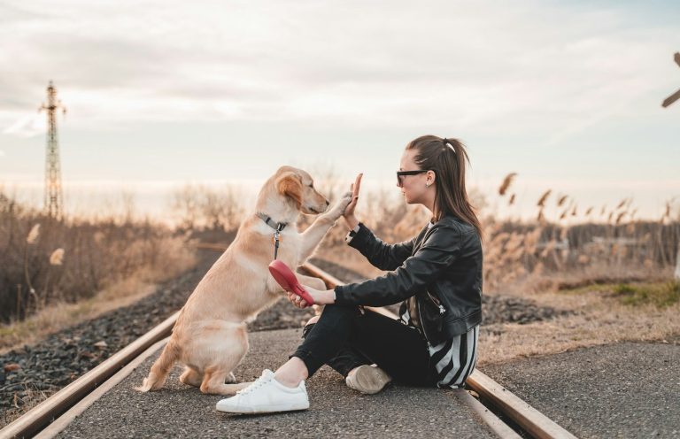 Sitzender Hund mit Frau Frau sitzt mit Hund