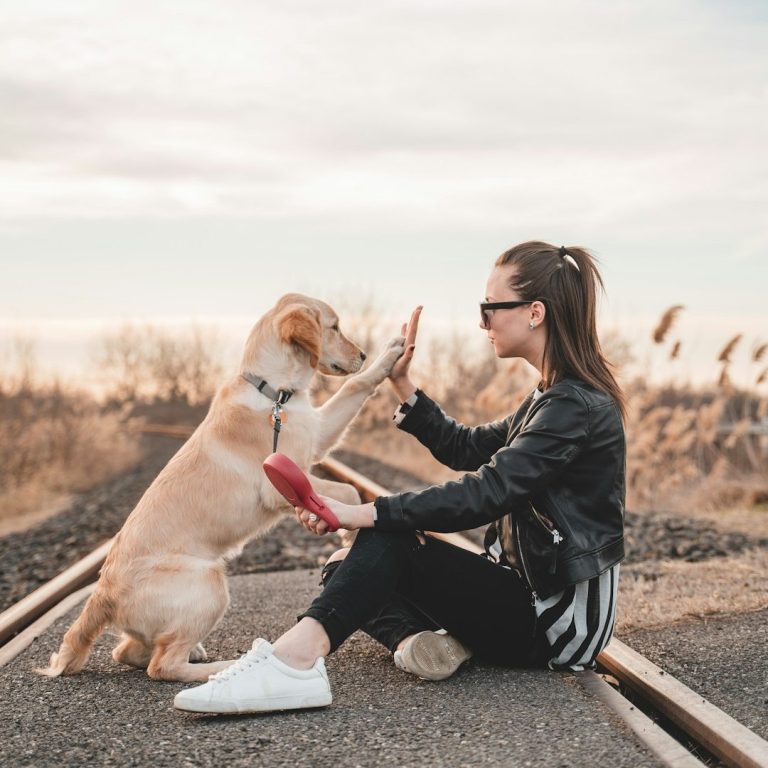 Frau sitzt vor Hund und gibt High-Five