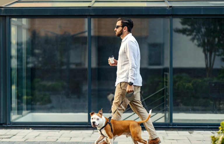 Lockere Leine Hund Mann mit Hund