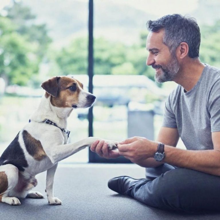 Mann sitzt auf dem Boden und schüttelt Pfote mit seinem Hund.